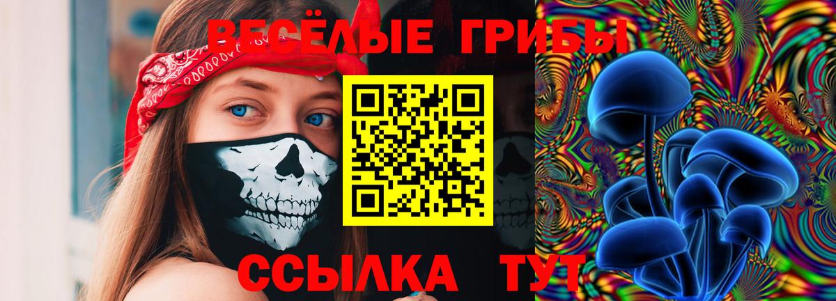 Галлюциногенные грибы MAGIC MUSHROOMS  Вход с VPN  Галлюциногенные грибы Psilocybe  Дедовск 