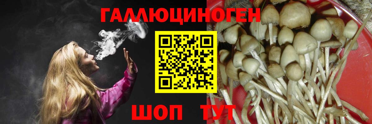 Псилоцибиновые грибы ЛСД Дедовск