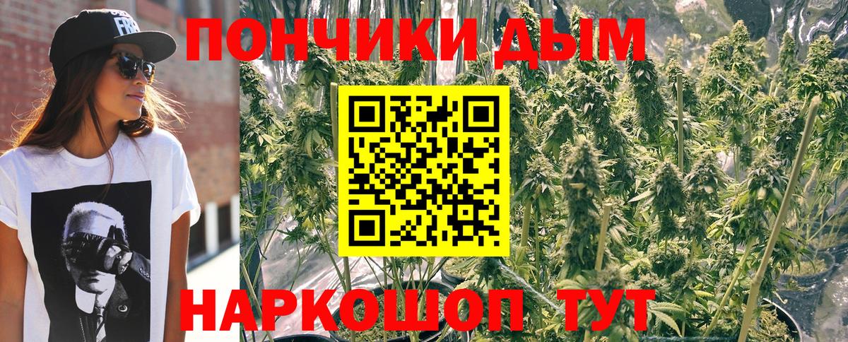 Конопля индика Дедовск